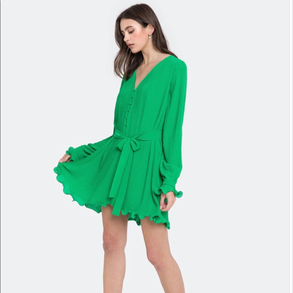 Endless Rose Chiffon Pleated Mini Dress
